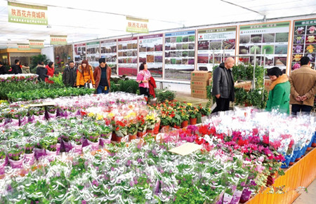 成都花木网2018“长安花卉”专题|百花溢香透长安-西安市长安区兴花带旅、兴花富民纪实