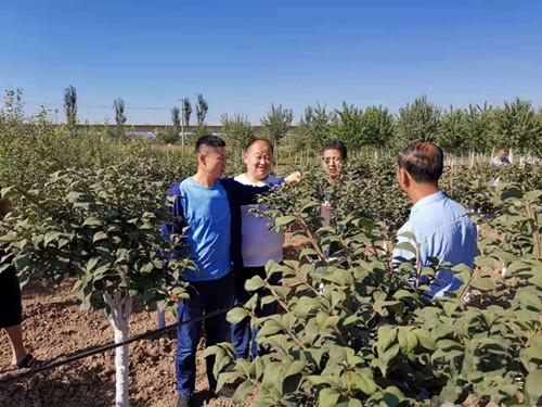 成都温江花木苗圃协会行业​资讯；火焰卫矛能火么？