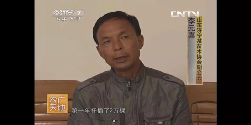 成都苗圃协会推荐图