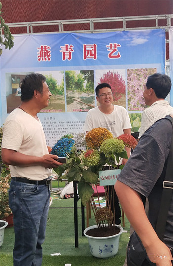 「成都苗圃」小编带你游历定州苗木花卉园林博览会（下）