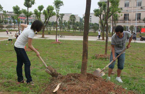 成都苗圃人谈：树木移植栽深还是栽浅？