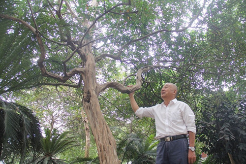 [成都花木]资讯；四十年的“经营智慧”苗圃越来越值钱