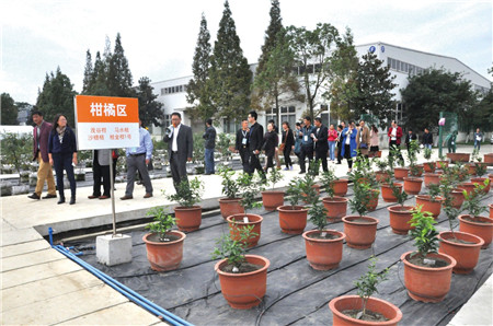 十二届成都花木苗圃绿化管理及养护技术交流会在即