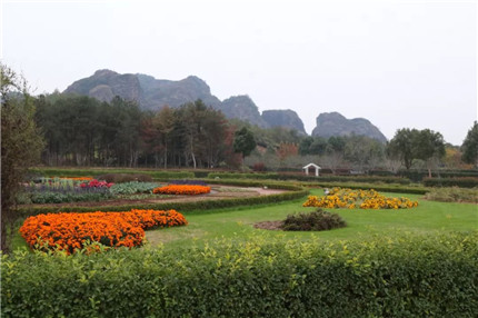 成都苗圃人走进龙虎山花语世界探秘苗旅融合发展成功之道