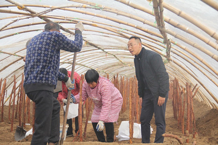 成都苗圃协会推荐；一个三十岁青年的苗木“寻梦记”