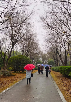 成都花木网行业动态|花木第二大省，协会是怎么开年会的？