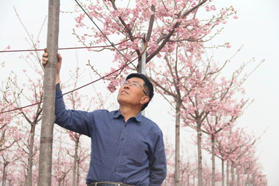 成都苗木人推荐|苗农老王的“钢铁化”苗圃