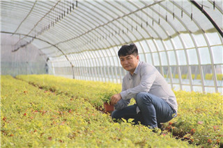 成都苗圃协会行业达人；“花木狠人”宋涛