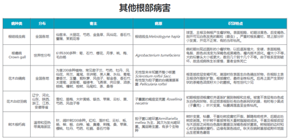 成都苗圃基地小编推荐，高效防治苗木植物根茎部病害方法