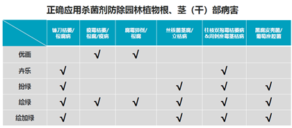 成都苗圃基地小编推荐，高效防治苗木植物根茎部病害方法