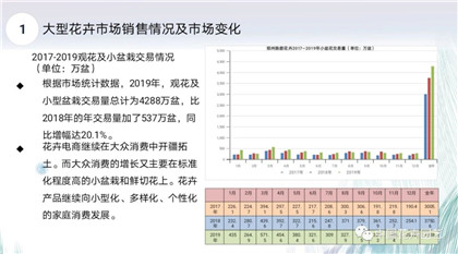 成都花木基地行业资讯|未来花卉市场什么样？专家的答案在这里