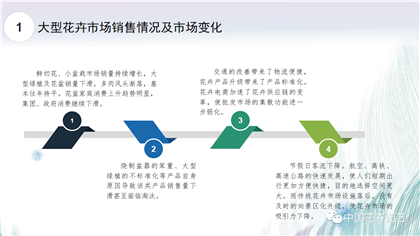 成都花木基地行业资讯|未来花卉市场什么样？专家的答案在这里