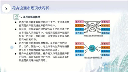 成都花木基地行业资讯|未来花卉市场什么样？专家的答案在这里