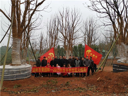 成都苗圃基地行业资讯|苗木之乡青年如何凭一招“弯道超车”？