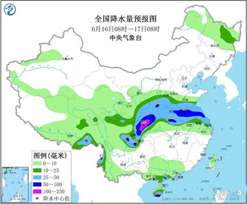 挽救受涝害苗木，这6个举措是关键！