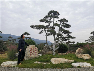 成都苗圃基地行业人物；“举火者”苏星棋