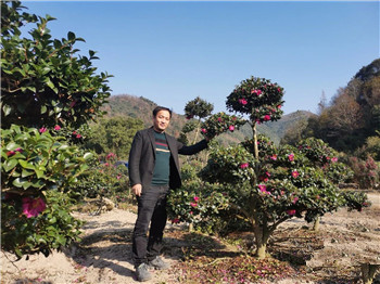 千亩单品苗圃，一树十“变”，他用花木创新打赢这场“差异战”