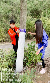 成都苗圃基地小编谈；清园用这招，让花木病虫无处遁形