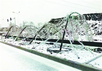 今春强冷空气袭击苗圃产业，花木遭遇冰雪冻害怎么办？