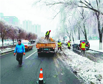 今春强冷空气袭击苗圃产业，花木遭遇冰雪冻害怎么办？