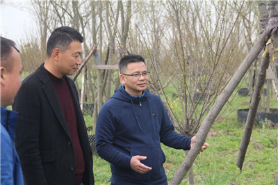 成都花木基地行业动态；500亩容器苗旗舰级苗圃放“大招”