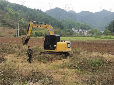 四川成都花木基地苗木行业资讯