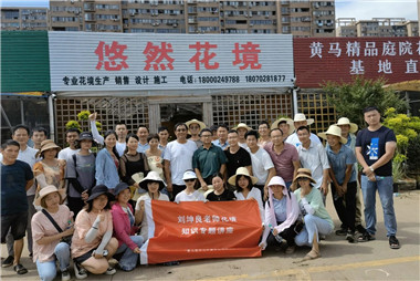 他把1100平的垃圾场变成花园苗圃，打通了庭院花木的“产销二脉”