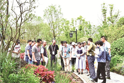 携手共进 梦圆花博【成都花木网花博会专题】