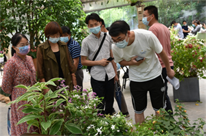 酷热难捱，偏偏这些花境新品种，气温越高越貌美【花木行业访谈】