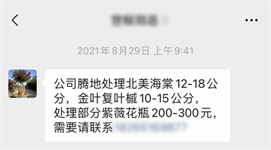 成都花木协会小编谈，今年，苗圃市场发展的“阻”“立”在哪儿