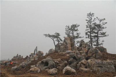 高架桥下的风景|成都苗圃基地行业动态