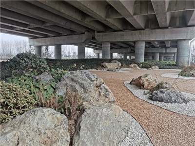 高架桥下的风景|成都苗圃基地行业动态