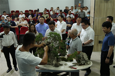 成都苗圃协会小编带你领略十年全力塑造的“中国花木盆景之都”