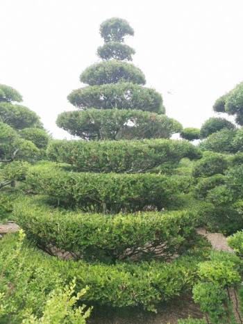 干他三十年！不止情怀，谈谈传承苗圃的“商业密码”