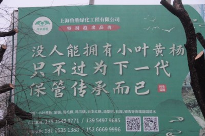 干他三十年！不止情怀，谈谈传承苗圃的“商业密码”